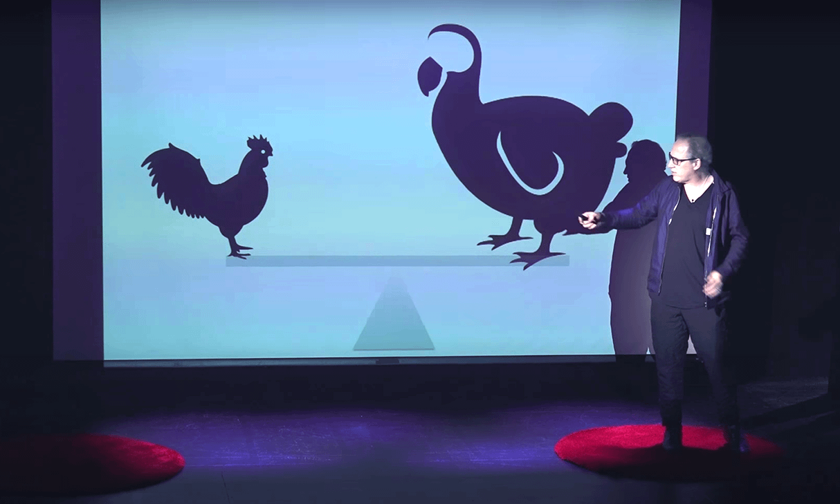 TedxRiverdale: Learning and Chickens